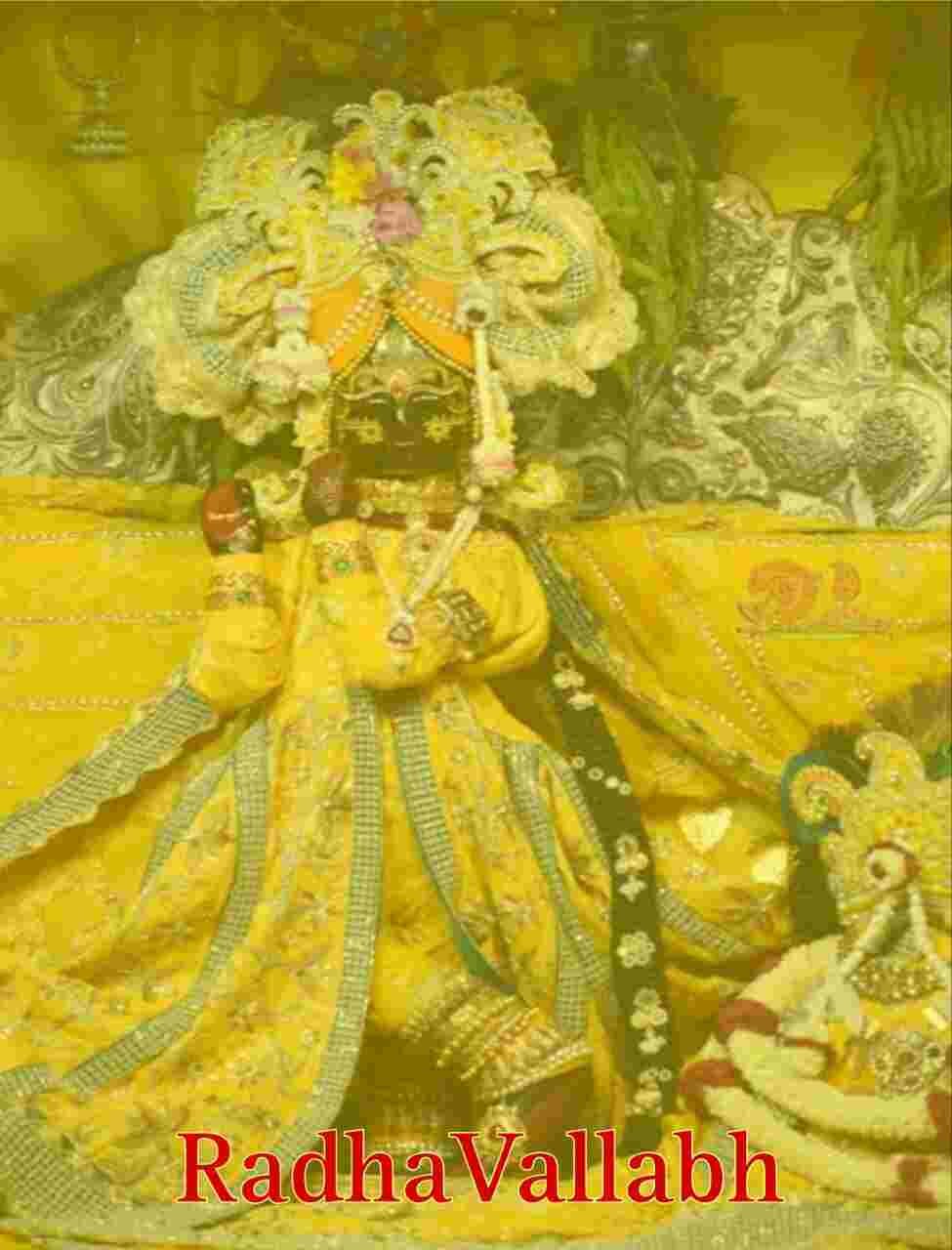 Radha Vallabh