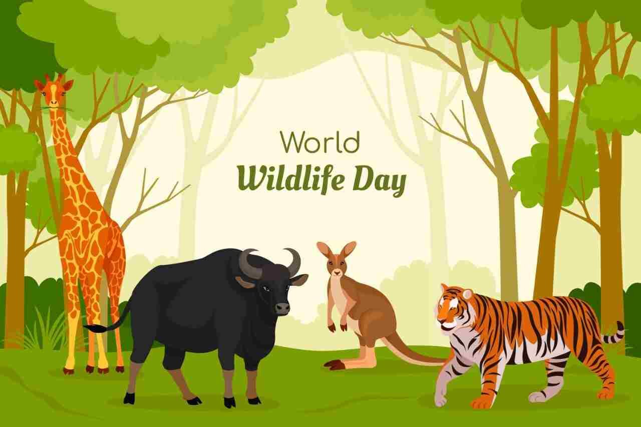 world wildlife day